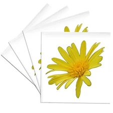 3dRose CST_128388_3 Bring Me Sunshine a Close Up of a Yellow Daisy on a Plain...