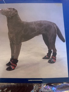 extra small dog boots