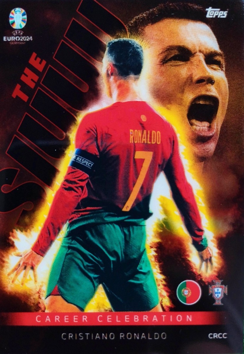 panini ULTIMATE TEAM メッシ&ロナウド LIONEL MESSI CRISTIANO RONALDO +30 WORLD CUP SOCCER PLAYERS