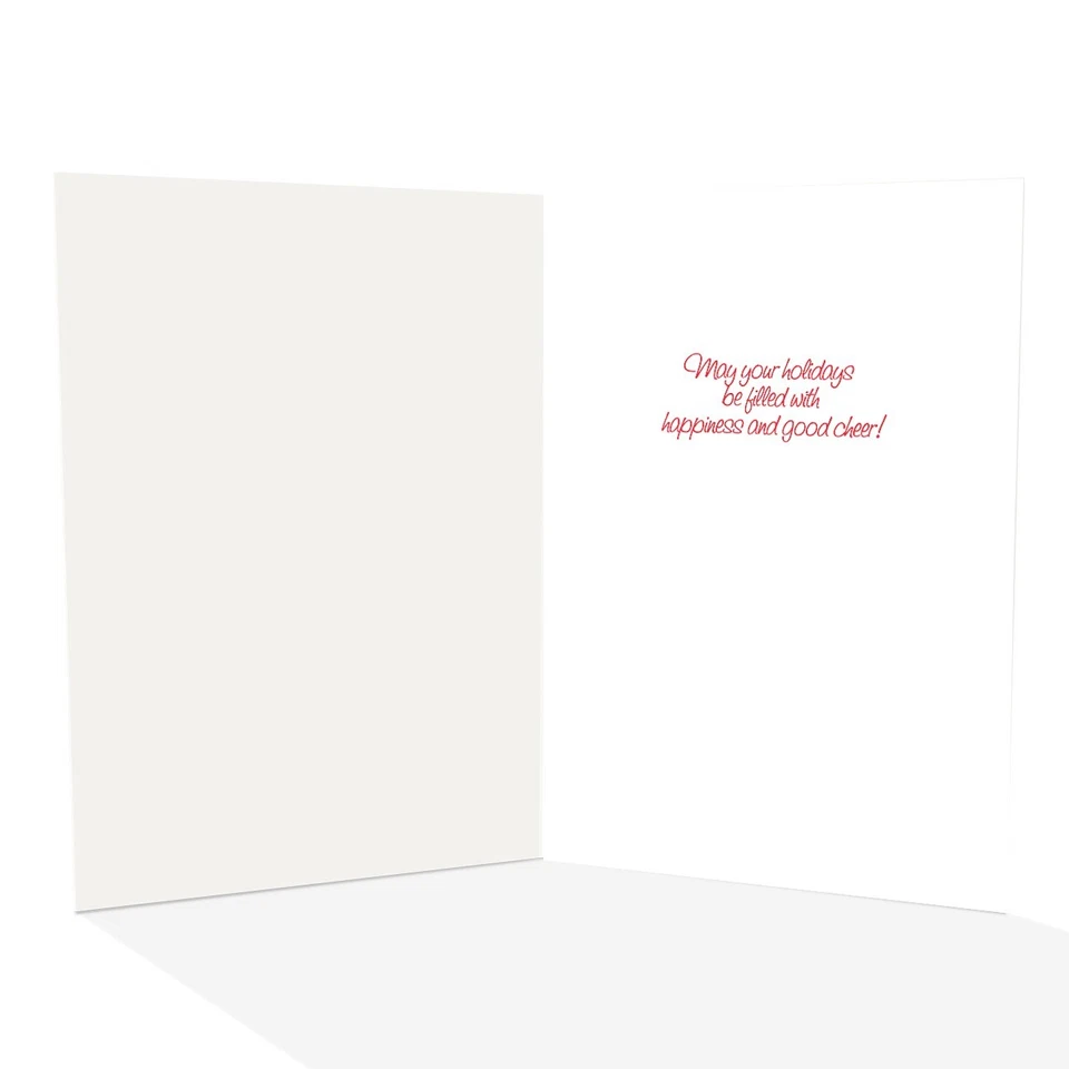 Tarjeta de vacaciones divertida de Gator - 18 tarjetas y sobres de Navidad en caja - 30063 Foto 2 de 4