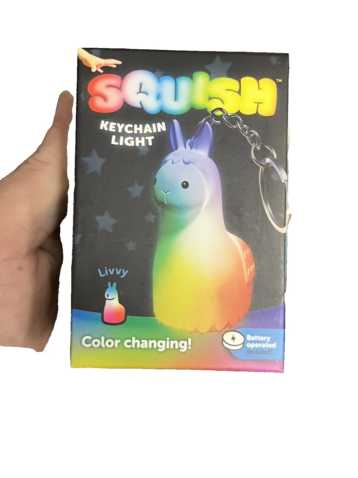 Globe Accesorios para Mujer