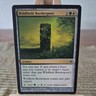 MTG Wildfield Borderpost Alara Reborn 80/145 Regular Common