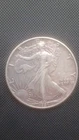 1991 Walking Liberty 1 oz fine silver dollar