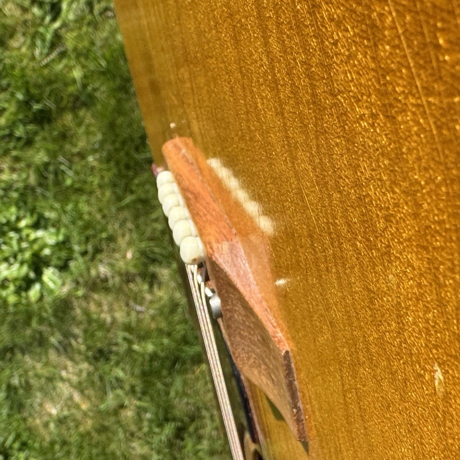 Picture 13 of 16