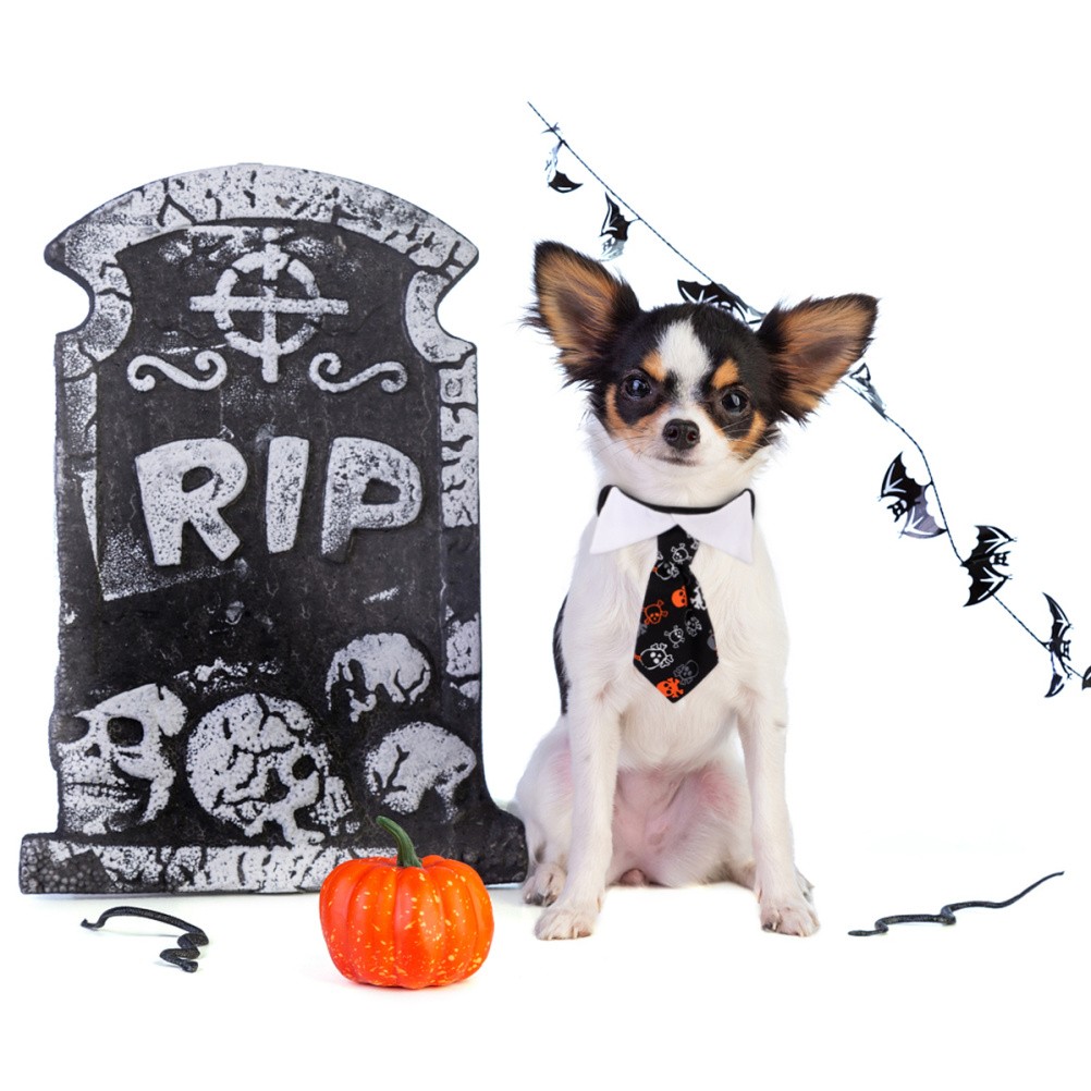 Accessori di Halloween per Cani foto 2