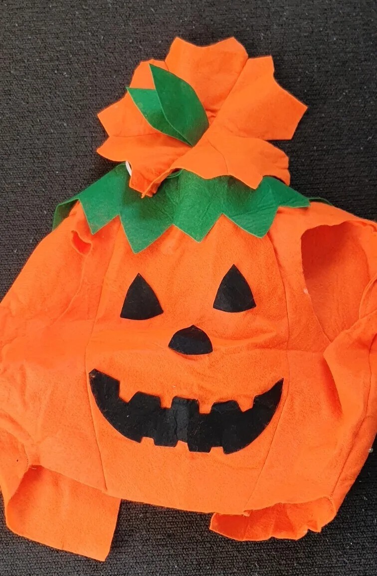 KIDS PUMPKIN COSTUME HALLOWEEN eBay