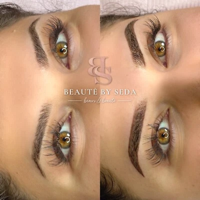 250 Eyebrow Microblading Shading Cosmetic Tattoo