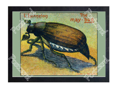 Historic May Bug L'hanneton Tin Toy Advertising Postcard