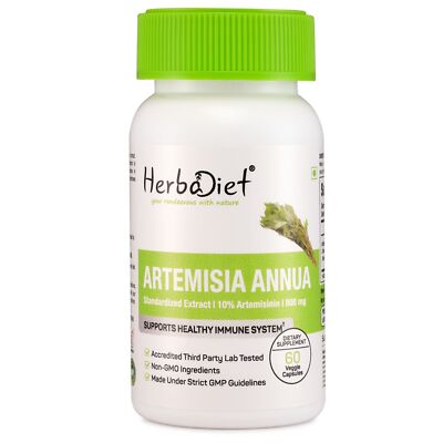 Artemisia Annua Extract Capsules POTENT Builds Immunity For Intestinal Worms