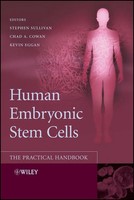 Stephen Sullivan (U. A.) | Human Embryonic Stem Cells | Buch | Englisch (2007)
