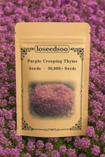 30000+ Creeping Thyme Seeds Purple Ground Cover Perennial Non-GMO Heirloom
