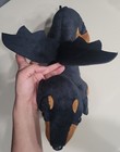 Picture 5 of 8
