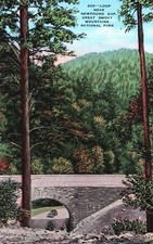 Vintage Postcard Loop Near Newfound Gap Great Smoky Mountains National Park