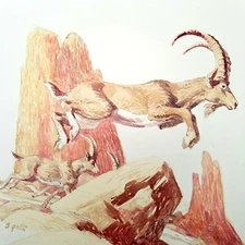 Rare Vintage Original - Stan Galli - Painting- Ibex / Ram / Goat Wildlife Art