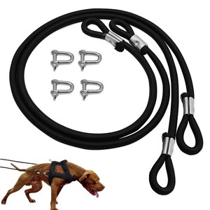 rubber dog lead