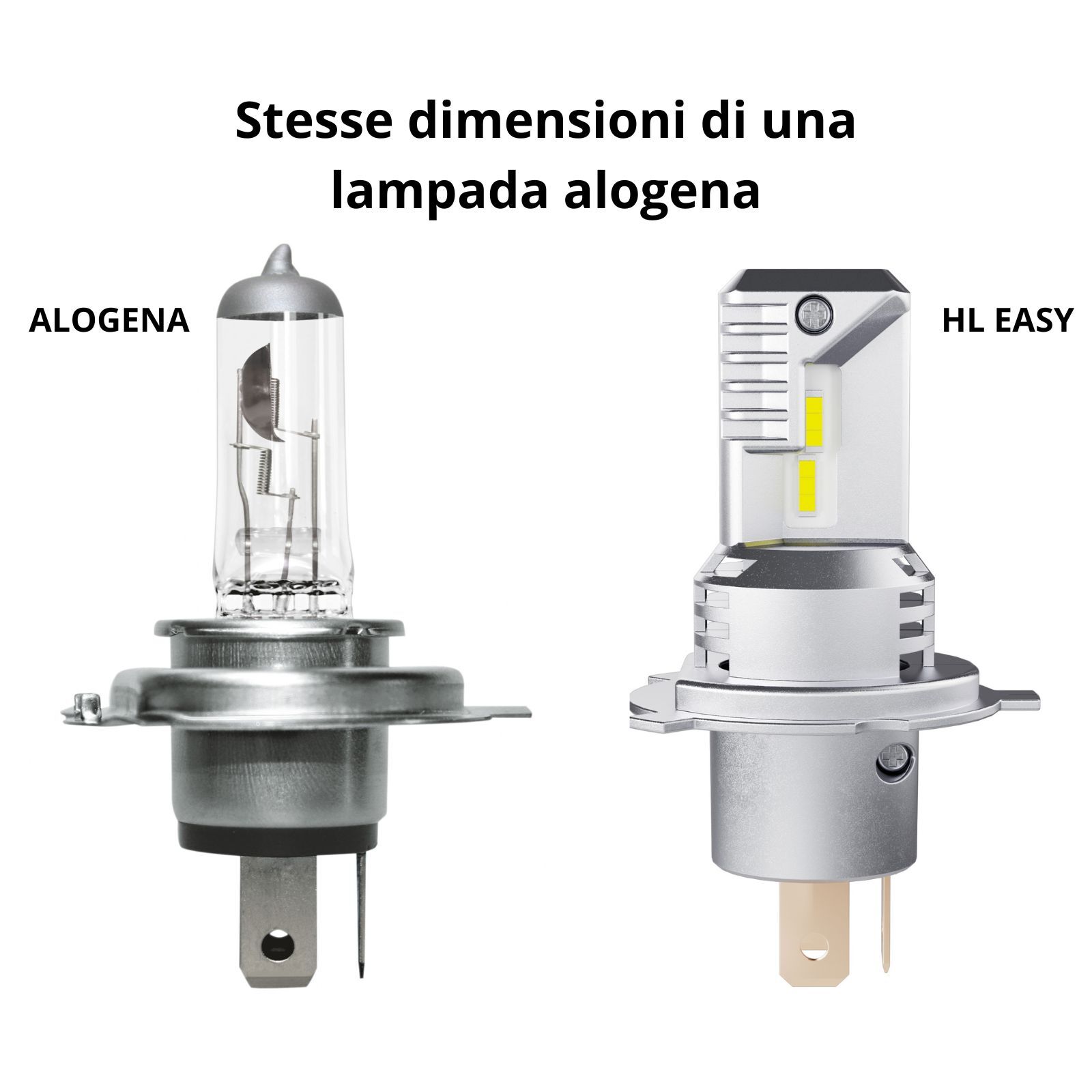 Foto 2 di 5