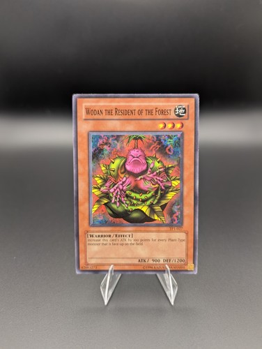 Wodan the Resident of the Forest TP1-027 card