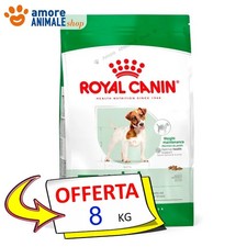 Royal Canin Mini Adulte Poulet 8 KG - Croquettes Pour Chien Adulte Taille Petite