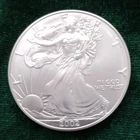 2002 U.S. Mint American Eagle 1 oz .999 Fine Silver Bullion Coin with Holder