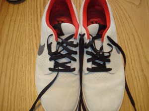 paul rodriguez lunarlon shoes