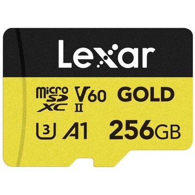 256GB Professional Gold MicroSDXC for Action Cameras