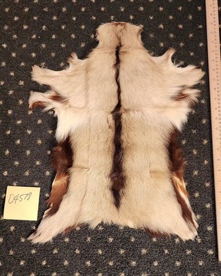 Western Goat Hide/Rug/Wall Hanging Lot 04578