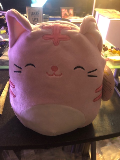 Squishmallows Paulita The Adorable Pink Tabby Cat 8
