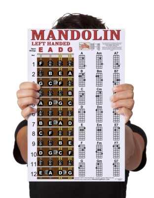 LAMINATED LEFT HANDED Mandolin Easy Chord Instructional Poster Beginner Chords