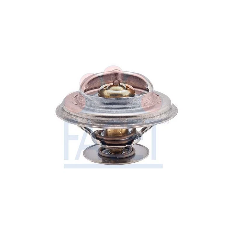 Engine Coolant Thermostat for 1985-1986 Audi 5000 | eBay 