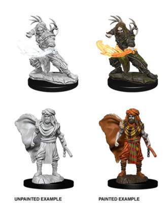 D&D Nolzur's Marvelous Unpainted Miniatures: W6 Male Human Druid