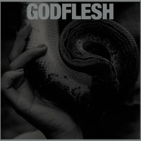 Godflesh Purge (Vinyl) 12\ Album (Us Import)"