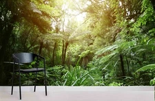 3D Forest Sunrise Wallpaper Wall Mural Removable Self-adhesive Sticker566