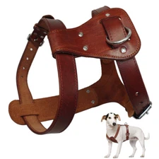 Genuine Leather Dog Harness Soft Durable for Small Medium Large Dogs S M L Brown