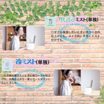Panasonic EH-SA0B-N [Steamer Nanocare Warm/Cold Gold]Japan