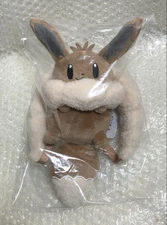 Pokemon Center limited Penny's Eevee Back Pouch Plush 16×9.5×26 cm Japan