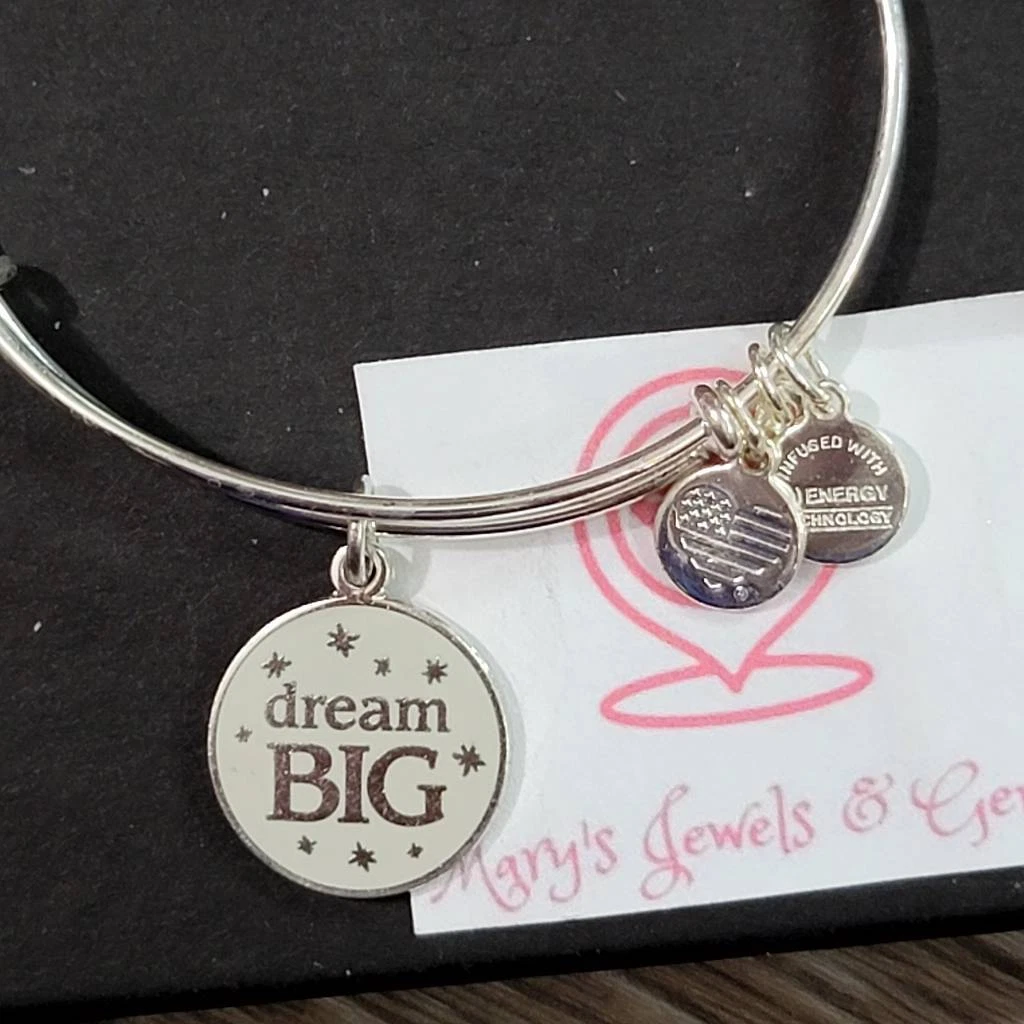 Dream big alex and best sale ani
