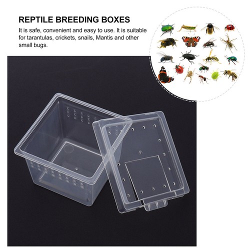 20 Pcs Mangiatoia Per Rettili Gabbia Lucertole Multiuso Habitat Di Piccoli - Imagen 10 de 12