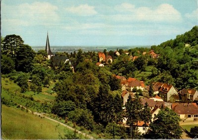 Vintage Luftkurort Bensheim-Auerbach Scenic Postcard Germany 6142
