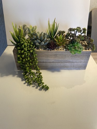 4 Pcs Artificial Plastic Plants Cactus Agaves Succulents (#128) Home Decoration