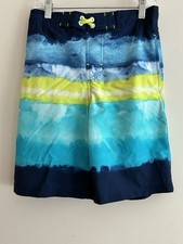 Wonder Nation Kids Boys Watercolor Striped Lined Adjustable Swim Trunks Blue L