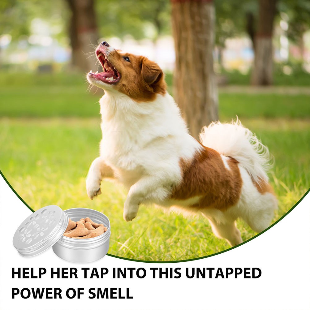 12 Contenitori per Addestramento Profumi Cane foto 6