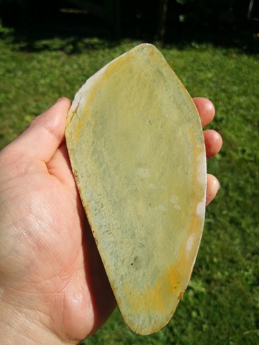 Pounamu Greenstone Nephrite Marsden Flower Jade Rare slab lapidary Natural - Picture 2 of 10