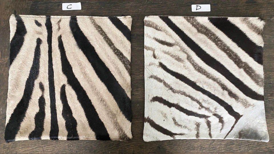 Funda de almohada de piel de cebra genuina de 16"x16" con respaldo de cuero | Almohada B#4 Foto 3 de 4