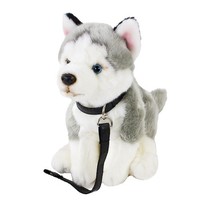 Husky Kuscheltier Mit Leine 25 Cm Teddys Rothenburg PlüSchtier Hund