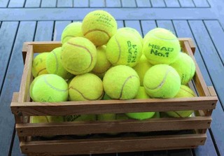 40 Tennisbälle gebraucht Hundespielzeug