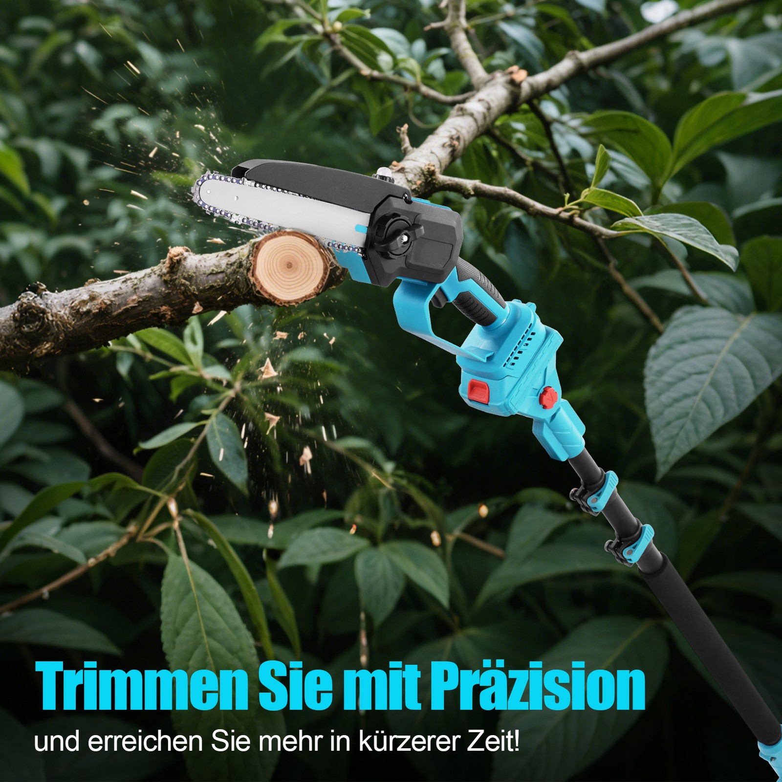 Bild 7 von 9