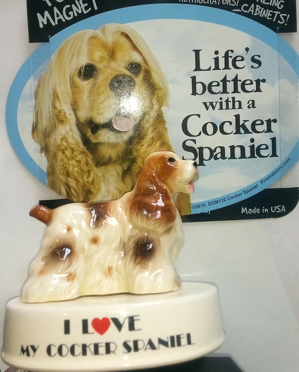 I love my cocker spaniel 2025