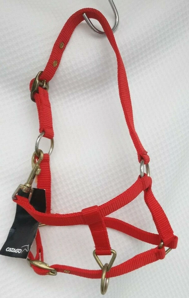 Catago Halfter Nylonhalfter Rot+Gold Beschläge 2fach verst. Fohlen = Mini Shetty - Bild 3 von 4