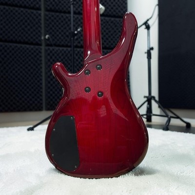 TUNE BASS MANIAC TB-standard AS High-End Japanese Bass | eBay
