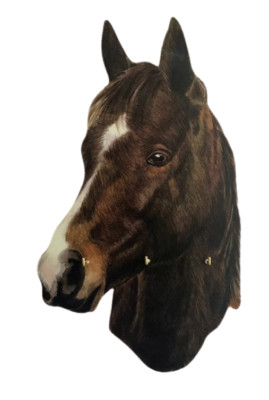Damen Hack Pferd Schlüsselbrett - Pferd Geschenk Pferdegeschenke Pferd Schlüsselanhänger HO8-SKR